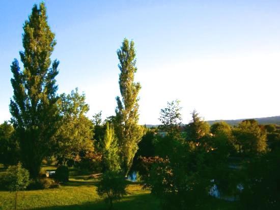 Mas Le Pont Des Aubes Bed & Breakfast LʼIsle-sur-la-Sorgue Eksteriør bilde