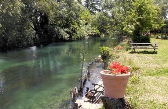 Mas Le Pont Des Aubes Bed & Breakfast LʼIsle-sur-la-Sorgue Eksteriør bilde