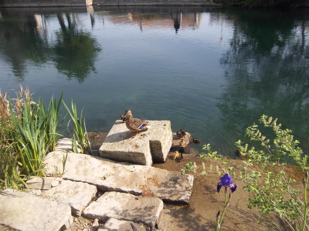 Mas Le Pont Des Aubes Bed & Breakfast LʼIsle-sur-la-Sorgue Eksteriør bilde