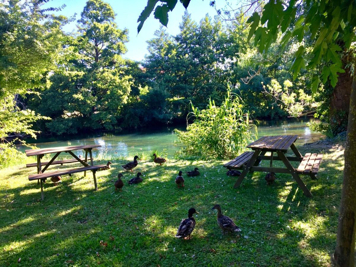 Mas Le Pont Des Aubes Bed & Breakfast LʼIsle-sur-la-Sorgue Eksteriør bilde